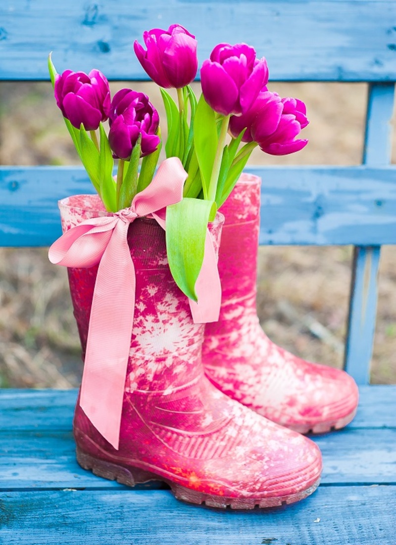 chrysanthemums flowers / birth flowers