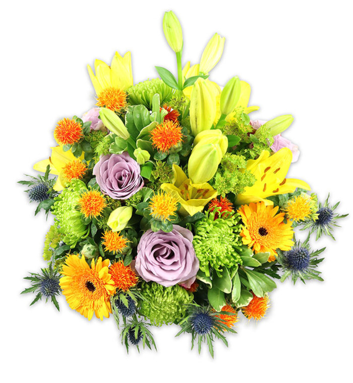 A densely packed, vibrant floral composition photographed on a pure white background, where every colour and texture is deliberately placed to create a rich, harmonious statement. Bright yellow Asiatic lilies assert themselves with open, speckled faces and slender upward buds that signal growth and anticipation. Interwoven are delicate lavender-purple roses, their petals unfurling in classic spirals to lend a cool, romantic hush amid the sunlit yellows and oranges. Large orange Gerbera daisies punctuate the bouquet with bold, flat faces that draw the eye, while chartreuse 'button' chrysanthemums contribute generous volume and a soft, ruffled texture that feels almost like a green cushion. Small, globe-like orange and golden-yellow accent blooms-suggestive of craspedia or miniature thistle forms-scatter joyful flecks of colour and introduce a firmer, slightly spiky texture. Several blue-grey Eryngium thistles rise at the sides and lower edges, their starry, bracted heads giving an architectural contrast that modernises the overall look. A mix of glossy and matte foliage-broad lily leaves, delicate sprigs, and textured fillers-creates depth, frames blooms, and lends a natural cadence to the massed colours. The arrangement is lit with soft, natural light that highlights petal translucence and the subtle, sweet perfume of lilies, evoking the warmth of late spring in a Denmark Hill sitting room or a bright kitchen close to Champion Hill. This bouquet reads as both celebratory and tender, suitable as a centerpiece, an expression of thanks, or a comforting gift to lift someone's spirits.